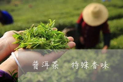 普洱茶 特殊香味/2023031736261